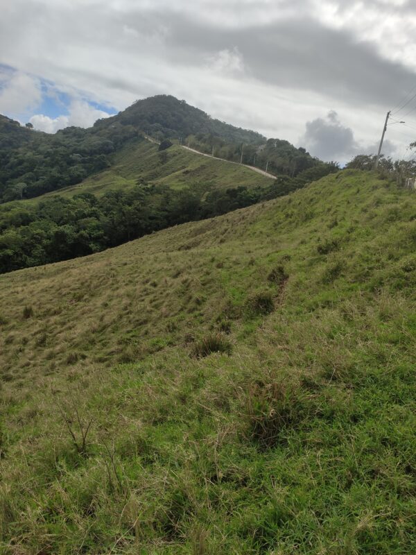 INVERSIÓN GRUPAL PARA COMPRAR FINCA  632 TAREAS,  GANANCIAS COMPARTIDAS SOLO FALTAN👇