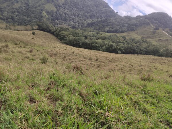 🚀 25 TAREAS DE TERRENO 🇩🇴